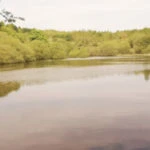 Walk 1: Beamish Valley