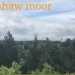 Walk 3: Ushaw Moor
