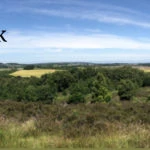 Walk 5: Waldridge Fell